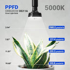 Barrina OG11A Grow Light Bulbs for Indoor Plant, 5000K 11W, 4 Packs, Black - Image 2