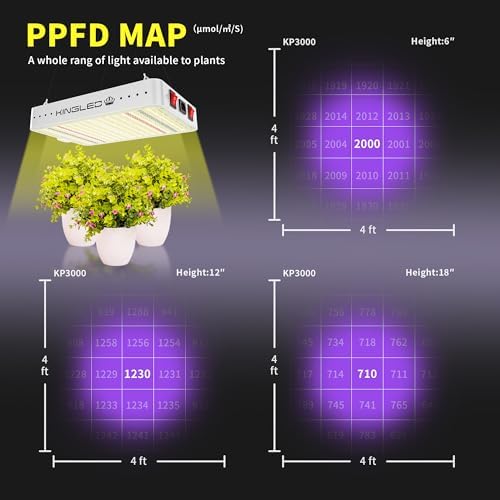 KingLED KP3000 Grow Light for Indoor Plants, Full Spectrum Plant Grow Light - Image 4