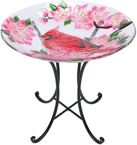 MUMTOP Outdoor Glass Birdbath with Metal Stand for Garden Cardinal Decor by MUMTOP