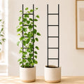 2PCS Indoor Plant Trellis, Sturdy Ladder Trellis for House Plant by Goooxim