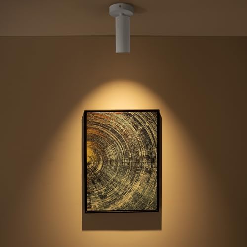 Aisilan LED Modern Directional Dimmable Spotlight Adjustable 90 Degrees Anti Glare Ceiling Spot Light for Indoor Foyer Living Room Warm White White 9W CREE COB CRI 97 - Image 3