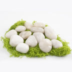 40lbs White River Rocks - 1-2Inch Natural White Rocks for Potted Plants, Decorative Rocks for Landscaping, and River Rocks for Aquariums (Weight : 40 LB, White) - Image 4