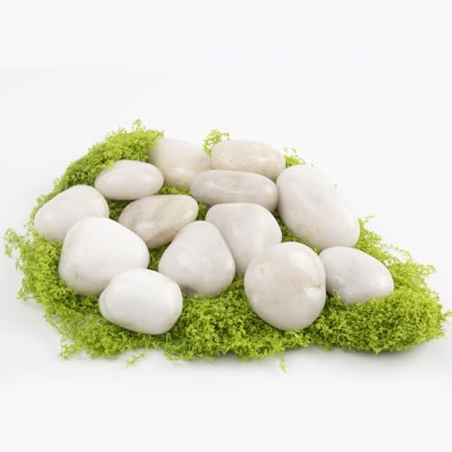 20lbs River Rocks - 1-2Inch Decorative Rocks for Potted Plants, River Rocks for Aquariums, and White Rocks for Landscaping (Weight : 20 LB, White) - Image 4