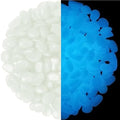 4.8Lbs 1100pcs Glow in The Dark Stones Garden Pebbles Rocks Indoor Outdoor Decor Luminous Stone for Walkways Driveway Yard Grass (White in Daytime, Blue in Night) by HIMISTORE