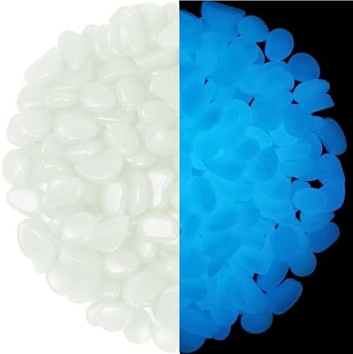 4.8Lbs 1100pcs Glow in The Dark Stones Garden Pebbles Rocks Indoor Outdoor Decor Luminous Stone for Walkways Driveway Yard Grass (White in Daytime, Blue in Night) by HIMISTORE