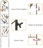 2 Pack Metal Garden Trellis for Climbing Plants - Image 3