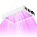 300W LED Compact Red-Blue Spectrum Plants Grow Lights with 192 Energy-Saving Lamp Beads, VEG/BLOOM Switchable Modes, 100-277V Wide Voltage US Plug for Desktop Planting, Succulents And Seed Germination by WENNI