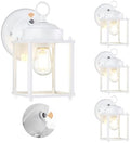 GRUENLICH Outdoor Wall Light Fixture, Clear Glass, White, 4 Pack by GRUENLICH
