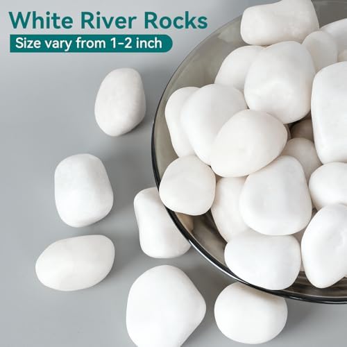 30 lbs White Rocks for Landscaping, 1-2Inch River Rocks for Plants - Image 2
