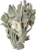 Design Toscano Bashful Wood Sprite Plaque by DesignToscano