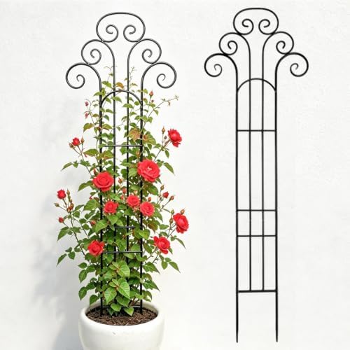 Metal Indoor Plant Trellis for Climbing Plants, 47" Rose & Clematis Support by Goooxim