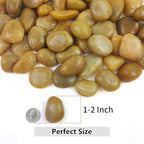 YISZM 10lbs Yellow River Rocks, 1-2 Inch Natural Pebbles for Indoor Plants, High Polished Decorative Stones Vase Filler Fish Tank Aquariums Landscaping Garden - Image 7