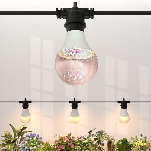 Grow Lights Hanging for Indoor Plants - Full Spectrum LED String Grow Light Bulbs with E26 Base，Waterproof 45W Durable Plant Lighting for Seeds, Flowers, Succulents, Indoor & Outdoor Use (3 Lights) by Gaudeoo