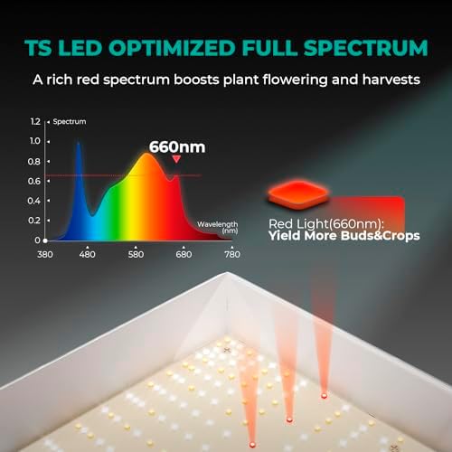 MARS HYDRO 300W TSL2000 Led Grow Lights for Indoor Plants - Image 4