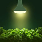 Briignite 4 Pack LED Grow Light Bulb, BR30 Grow Light Bulbs, Full Spectrum - Image 2