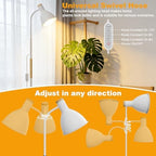 RDJ Bouns 20W LED Floor Lamp Grow Light for Indoor Plants, Full Spectrum - Image 4