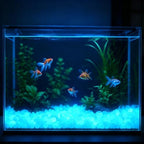 500 Pcs Glow in the Dark Rocks,White Glow Pebbles 0.8 Inch, - Image 7