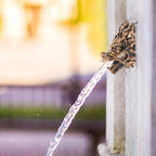 Dragon Head Fountain Wall Spout Resin for Garden Outdoor Use - Image 7