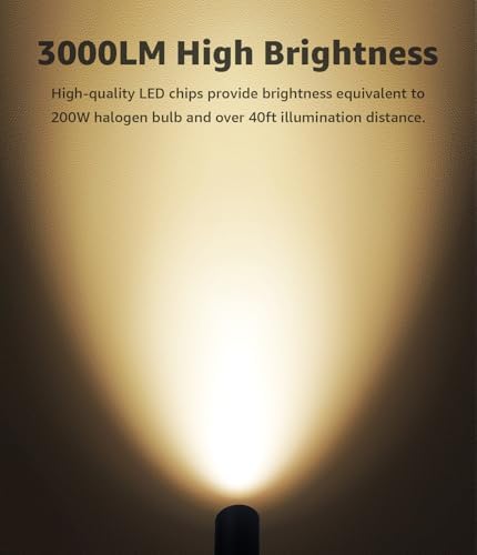 SUNVIE 30W Outdoor LED Spotlight 120V Waterproof Landscape Spotlights 3000LM Ultra Bright Spot Lights Outdoor 3000K Warm White Landscape Lights with 6 FT Cord for Flag Pole Tree Yard Path Garden Decor - Image 6