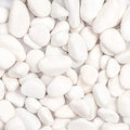 11lbs White Natural River Rocks, Polished Pebbles for Plants Garden, 1-2 inch Decorative White Stones, Ideal for Fish Tank, Vases, Crafting, Home Decor and Garden Landscaping Rocks,White by Ausluru