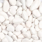 11lbs White Natural River Rocks, Polished Pebbles for Plants Garden, 1-2 inch Decorative White Stones, Ideal for Fish Tank, Vases, Crafting, Home Decor and Garden Landscaping Rocks,White by Ausluru