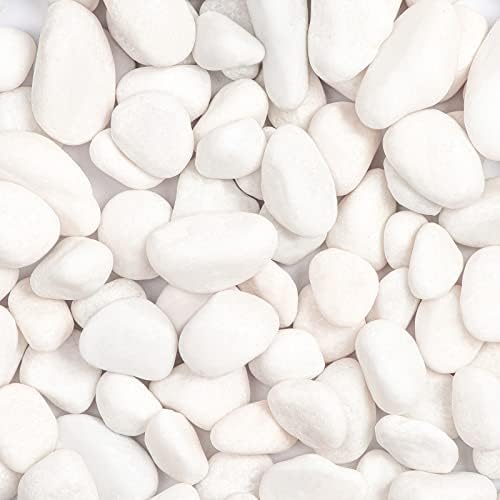 20lbs White Natural River Rocks, Polished Pebbles for Plants Garden, 1-2 inch Decorative White Stones, Ideal for Fish Tank, Vases, Crafting, Home Decor and Garden Landscaping Rocks,White by Ausluru