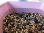 Voulosimi 18 LBS River Rock Stones, Natural Decorative Polished Mixed Pebbles Gravel,Outdoor Decorative Stones for Plant Aquariums, Landscaping, Vase Fillers - Image 6