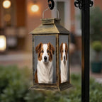 Solar Lantern Outdoor Waterproof Purebred Australian Shepherd Dog Dog Portrait Garden Decor LED Hanging Solar Lights Tabletop Lamp Gifts for Women Mom Outside Yard Patio Porch by DERUINVAIO