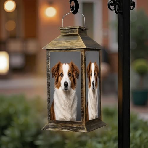 Solar Lantern Outdoor Waterproof Purebred Australian Shepherd Dog Dog Portrait Garden Decor LED Hanging Solar Lights Tabletop Lamp Gifts for Women Mom Outside Yard Patio Porch by DERUINVAIO