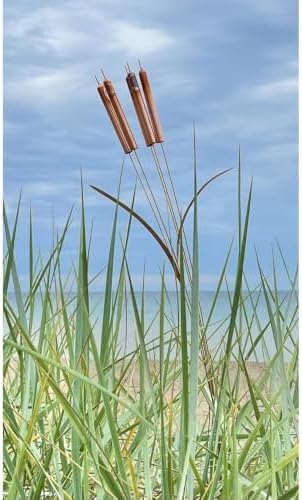 36" Copper Cattail Wind Chimes for Outdoor, Modern Wind Chimes (One) - Image 5