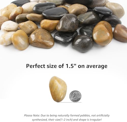 10lbs 1-2 Inch River Rocks, Decorative Mixed Pebbles for Garden Landscaping, Indoor Plants, Fish Tanks, Vases, and Succulents – Ideal for Home Decoration and Outdoor Gardens (Weight : 10 LB, Mixed) - Image 3