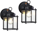 GRUENLICH Outdoor Wall Light Fixture, Clear Glass, Black, 2 Pack by GRUENLICH