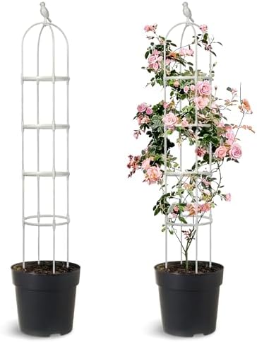 2 Pack Trellis for Climbing Planting Outdoor, 6ft Plant Trellis-Rustproof Metal Pipe with Heavy Duty Plastic Coated, Potted Plant Support for Clematis Vine Jasmine Support (White, 2 Pack) by Anothera