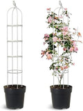 2 Pack Trellis for Climbing Planting Outdoor, 6ft Plant Trellis-Rustproof Metal Pipe with Heavy Duty Plastic Coated, Potted Plant Support for Clematis Vine Jasmine Support (White, 2 Pack) by Anothera