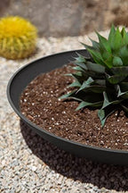 Veradek Mason Series Lane Bowl - Large Outdoor Bowl Planter - Image 5
