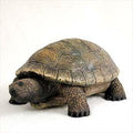 Conversation Concepts Turtle Standard Figurine by ConversationConcepts