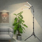 3Head Standing Grow Light for Indoor Bonsai Tree, Seed Starting - Image 3