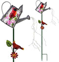 Garden Solar Lights Outdoor, Metal Watering Can Garden Stake Lights Cardinal Bird Decor Glass Art for Walkway, Pathway, Yard, Lawn by WUFEILY