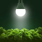 Briignite 12 Pack Grow Light Bulbs, Full Spectrum LED Grow Light - Image 5