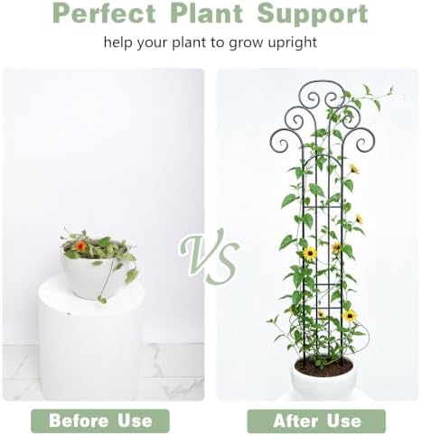 Metal Indoor Plant Trellis for Climbing Plants, 47" Rose & Clematis Support - Image 5