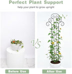 Metal Indoor Plant Trellis for Climbing Plants, 47" Rose & Clematis Support - Image 5