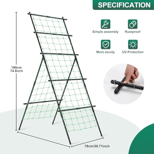 Cucumber Trellis A Frame Garden Trellis 31 x 26 x 75 in - Image 3