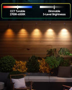 12V Low Voltage Landscape Light for Down Light Tree Lights, Remote Control RGBW MR16 LED Bulb, RGB+CCT Tunable 2700K-6500K, IP65 Waterproof Spotlight for Outdoor Garden Yard Fence (Black) - Image 5