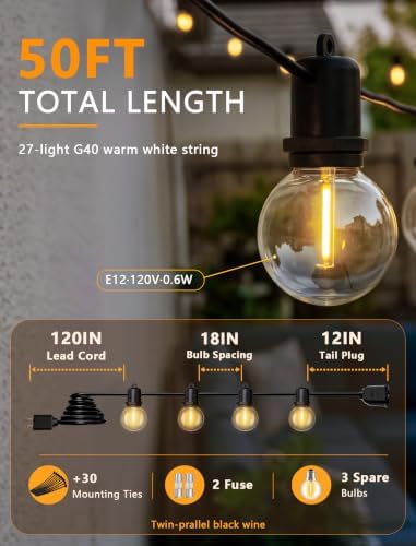 G40 LED Outdoor String Lights, 50FT, 27 Globe Bulbs, Black Wire - Image 2
