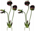 Venus Flytrap Garden Stake - 25inch Metal Outdoor Flowers Yard Art (2PCS) by Unknown