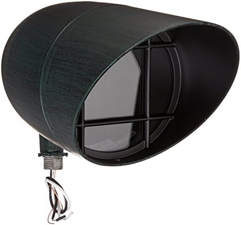 Nuvo SF76/658, PAR38 Landscape Flood Light, Antique Verdigris by Nuvo