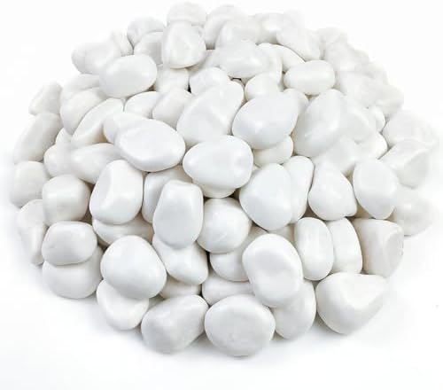 FANTIAN 40 lbs White River Rocks for Landscaping, Pebbles for Plants by FANTIAN-GardeningMakesLifeBetter