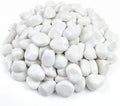 FANTIAN 10 lbs White River Rocks for Plants, Decorative Stones for Vase by FANTIAN-GardeningMakesLifeBetter