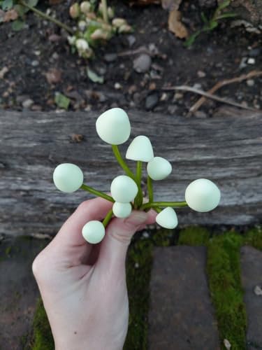 Handcrafted Polymer Mushrooms Set of 9 - Creme - Image 3