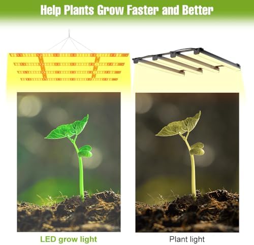 2000W Full Spectrum Grow Light Perfect For Greenhouse, Hydroponic Systems, And Grow Tents.Equipped with Heavy-duty Hanging Hooks And US Plug，For All Growth Stages—From Seedling Germination To Fruiting - Image 6